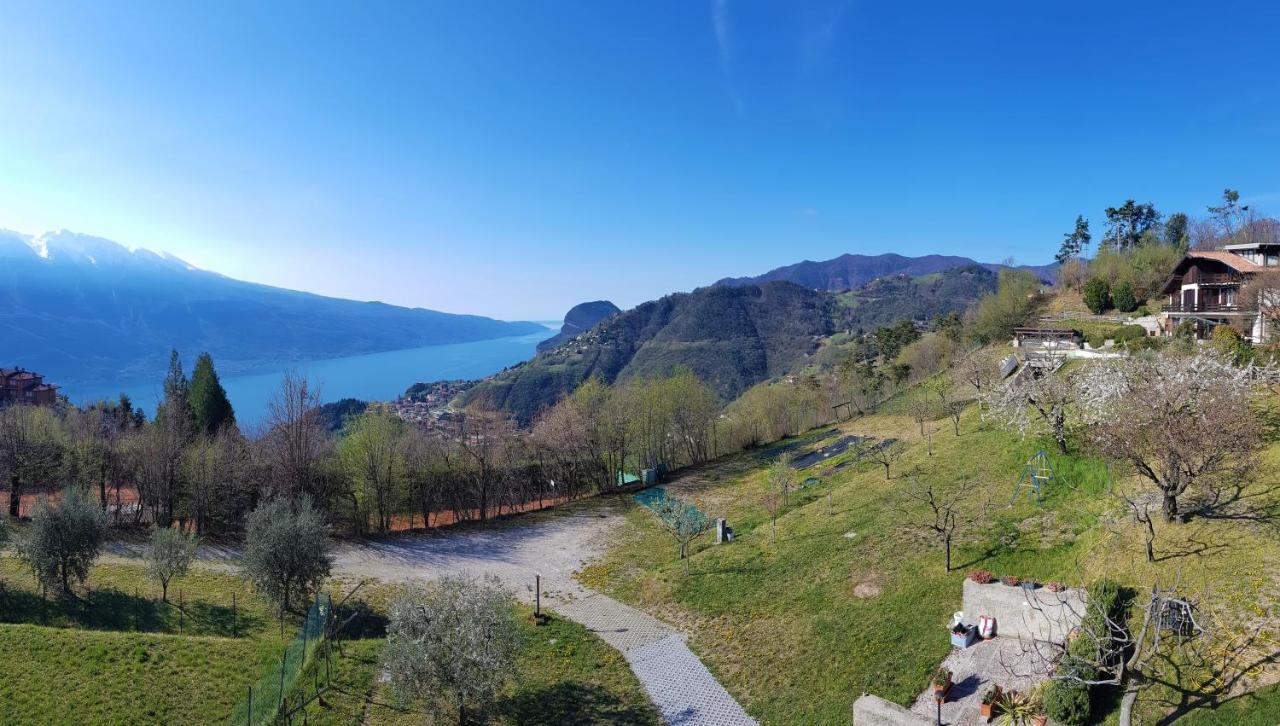 Teresa Campi Apartments Lake View By Gardadomusmea Tremosine 外观 照片